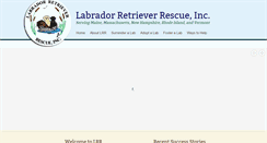 Desktop Screenshot of labrescue.com